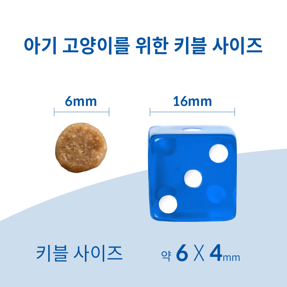 힐스 고양이사료 키튼 1.6kg