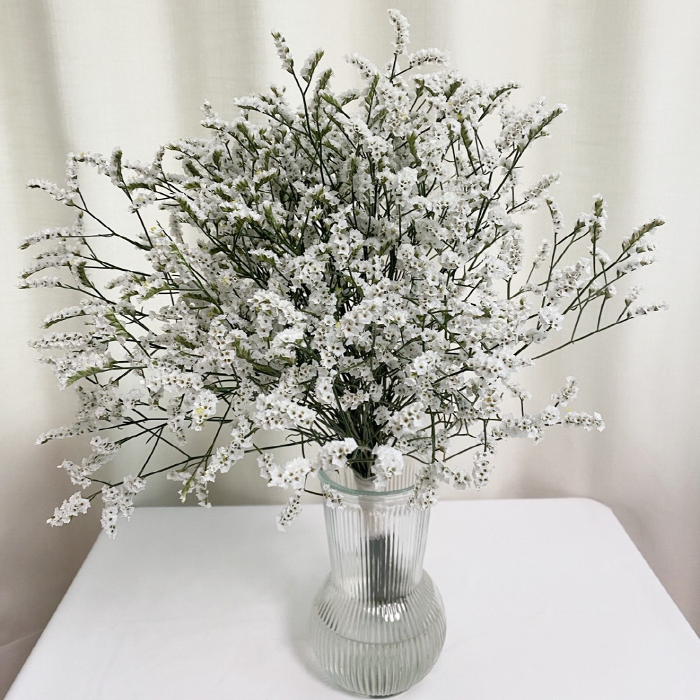 시네신스 반단 꽃배달 싼곳 생화 택배 꽃정기구독