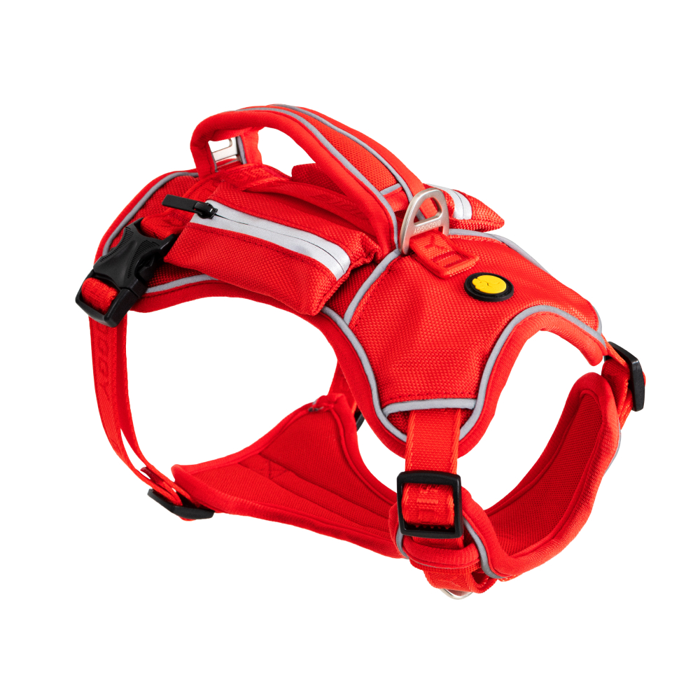 강아지 하네스 앞섬방지 가슴줄 대형견 하네스 H형 빅네스