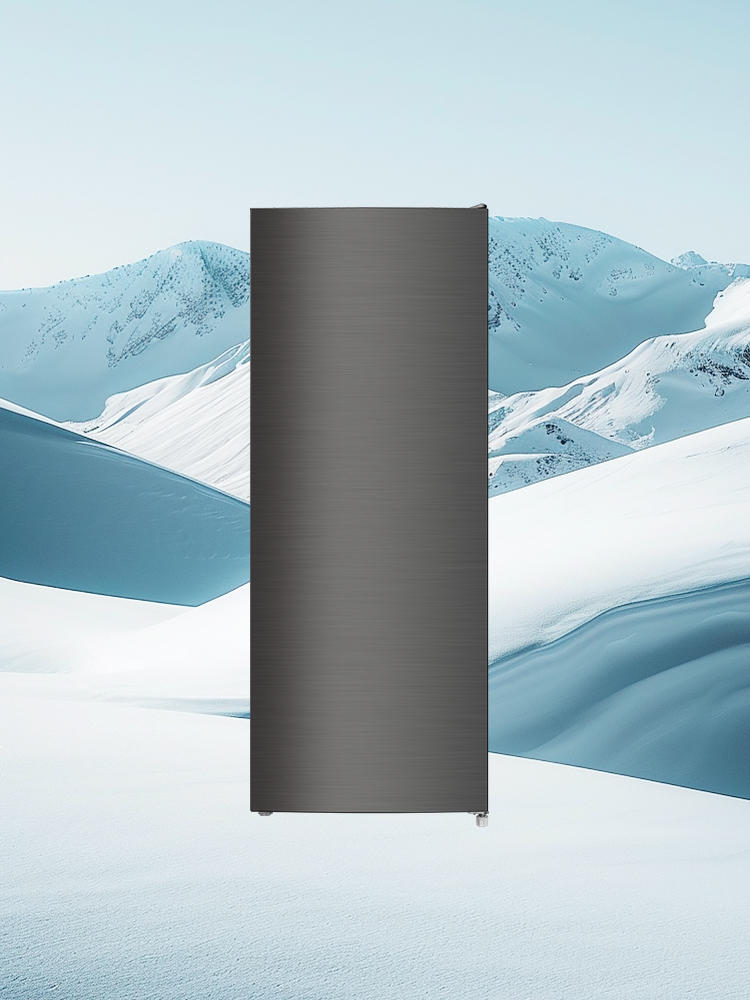 더함 소형 미니 냉동고 서랍형 스탠드 냉동고 메탈실버 177L