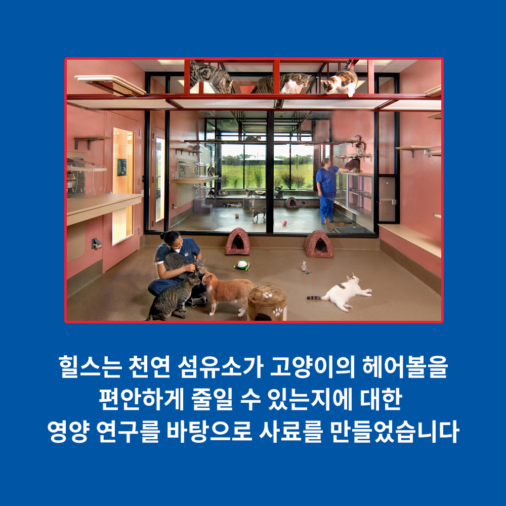 힐스 고양이사료 어덜트 헤어볼 컨트롤 라이트 3.2kg