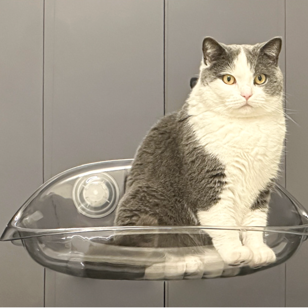 퍼플펫 고양이 창문 해먹 투명 창틀 선반 윈도우 침대 쇼파 창문캣타워 이미지 8