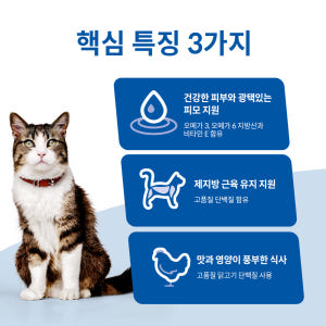힐스 고양이사료 어덜트 헤어볼 컨트롤 1.6kg 솔직 후기 | 실제 사용자 리뷰 총정리 - 상품 이미지 3