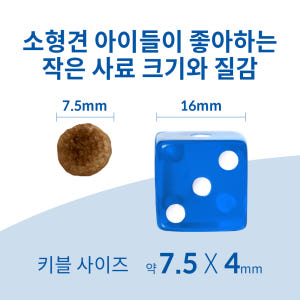 힐스 강아지사료 어덜트 11+ 스몰 앤 미니 2kg x 2개 솔직 후기 | 실제 사용자 리뷰 총정리 - 상품 이미지 4