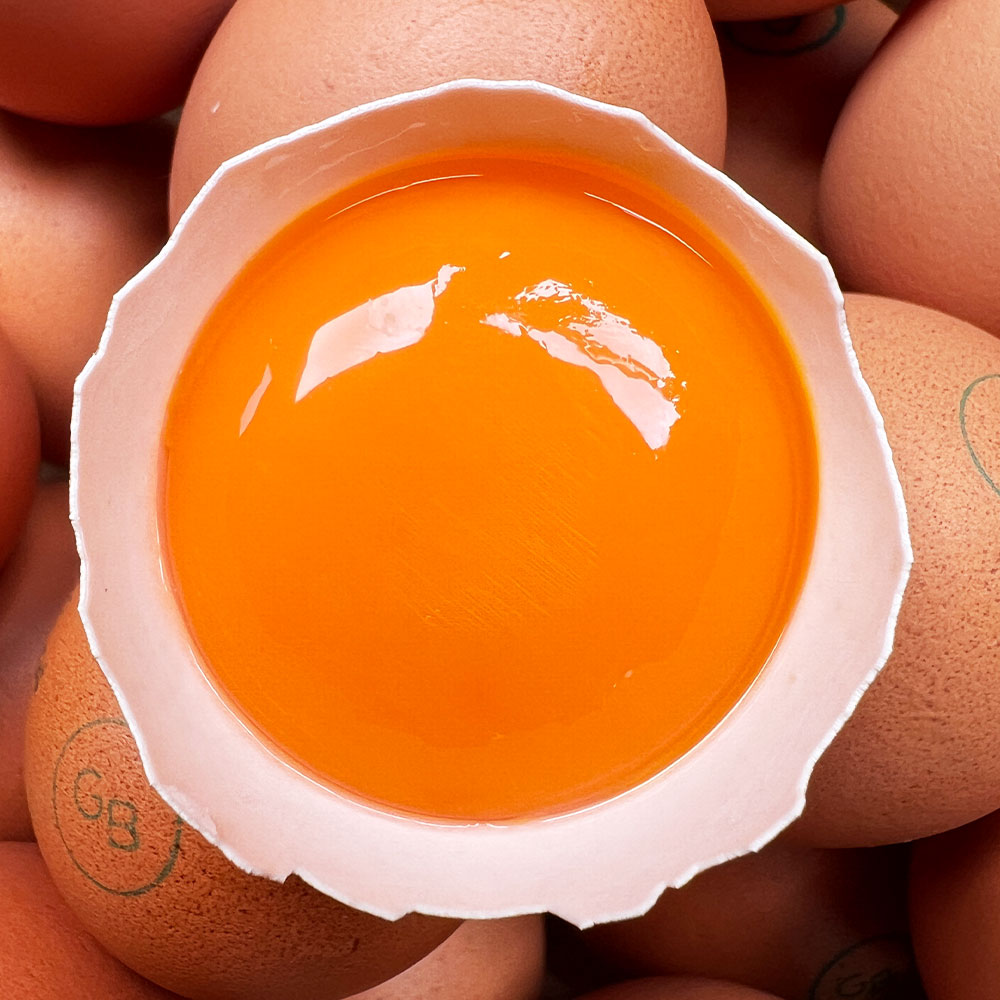 왕란 무항생제 계란 달걀 날계란 1+등급 1등급 한판 15구, 1개