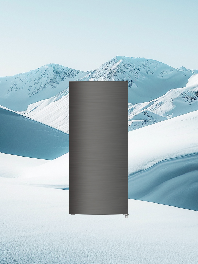 더함 소형 미니 냉동고 서랍형 스탠드 냉동고 메탈실버 146L