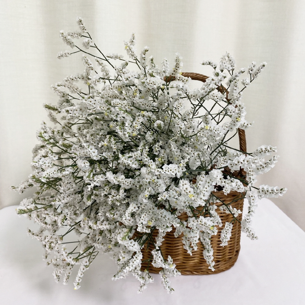 시네신스 반단 꽃배달 싼곳 생화 택배 꽃정기구독