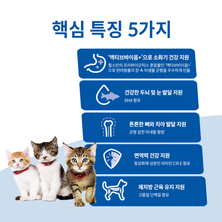 힐스 고양이사료 키튼 1.6kg 사진 3
