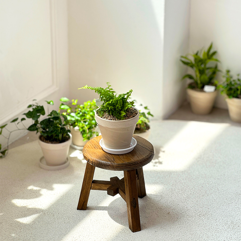 고재스툴 빈티지 원목 스툴 우드 고목나무 원형 미니 의자 화분정리 원형스툴