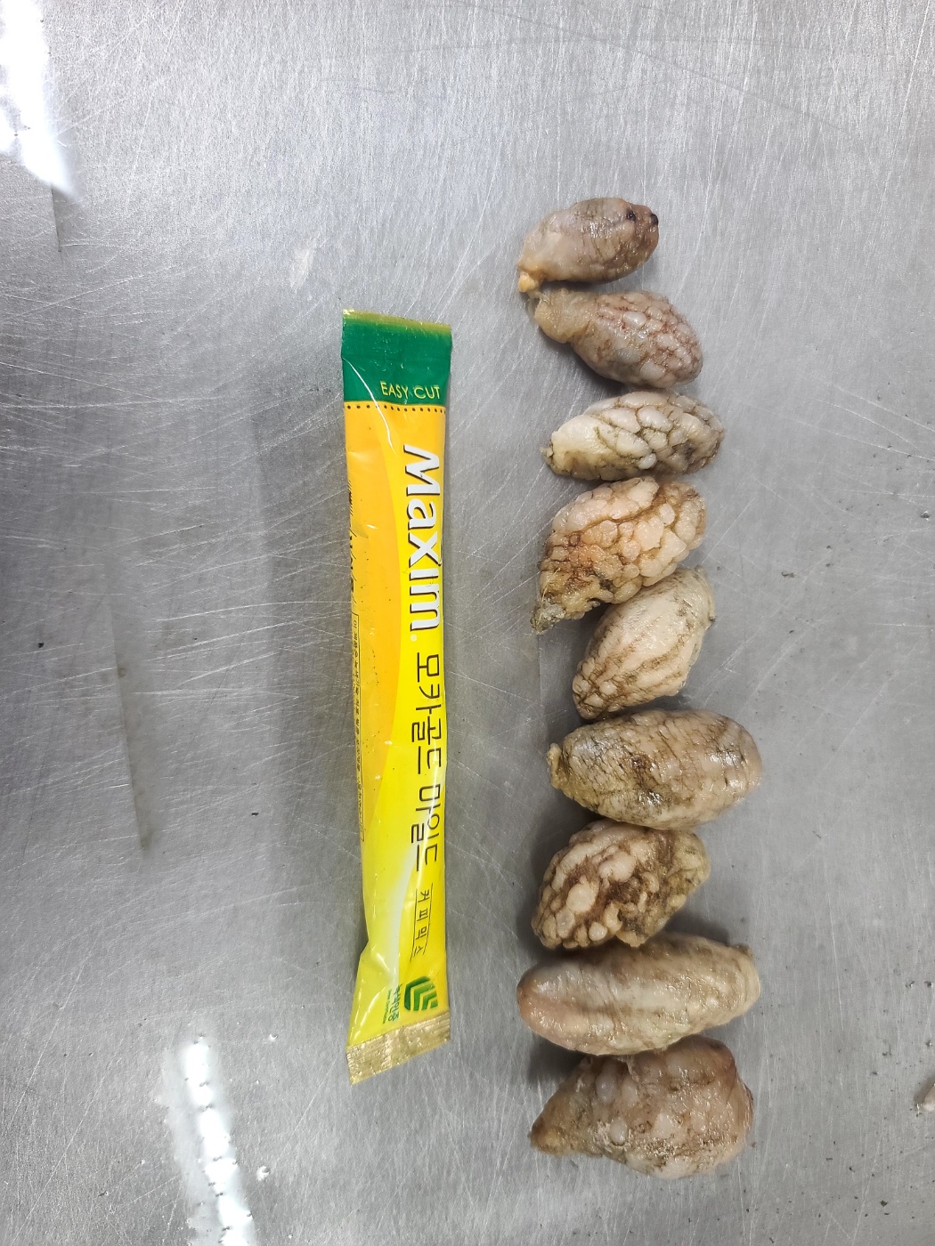 (산지직송) 오독오독 맛좋은 통영 오만둥이1kg 이미지 6