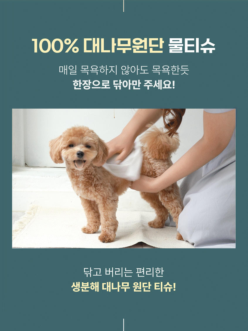 페피릴리프 강아지 물티슈 10팩 대나무원단 페이셜티슈 판매처 상세 정보 이미지 4