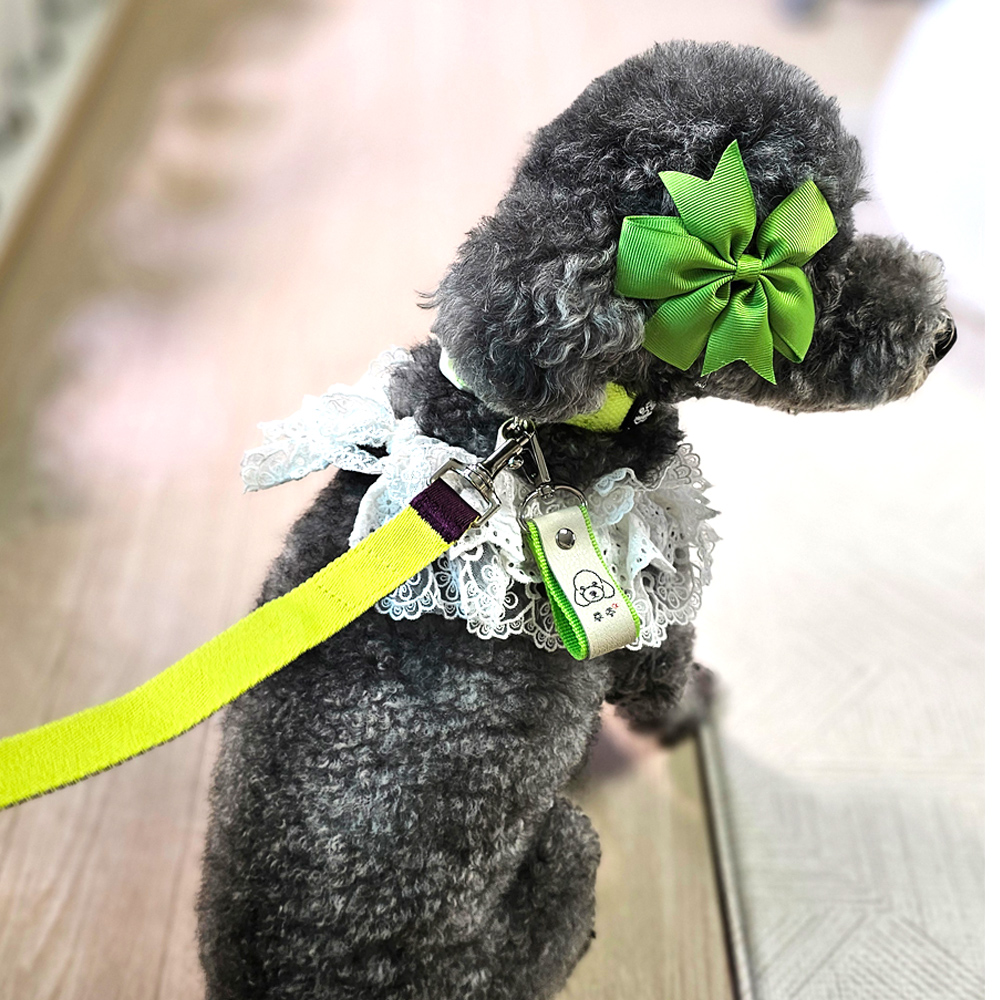 반려동물 인식표 강아지 반려견 애견 고양이 이름표 목걸이 주문제작 이미지 2