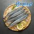 냉동 꽁치 1kg, 2개 맛있게 먹은 솔직 후기 썸네일
