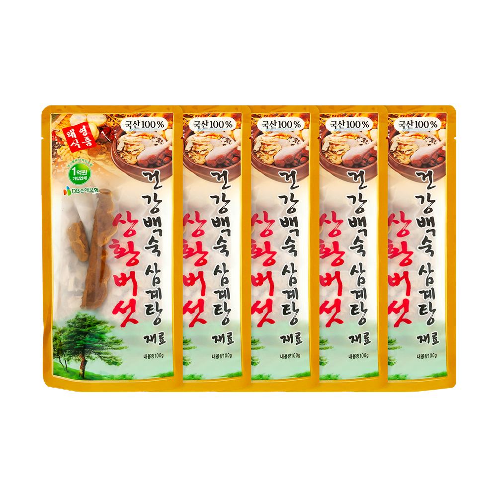 태영식품 상황버섯 삼계탕재료 건강백숙 100g x 5개 BA : 태영식품