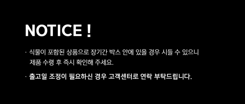 원목 플랜테리어 식물 LED 무선 무드등 집들이선물 네추럴베이지 이오난사기본 판매처 상세 정보 이미지 3