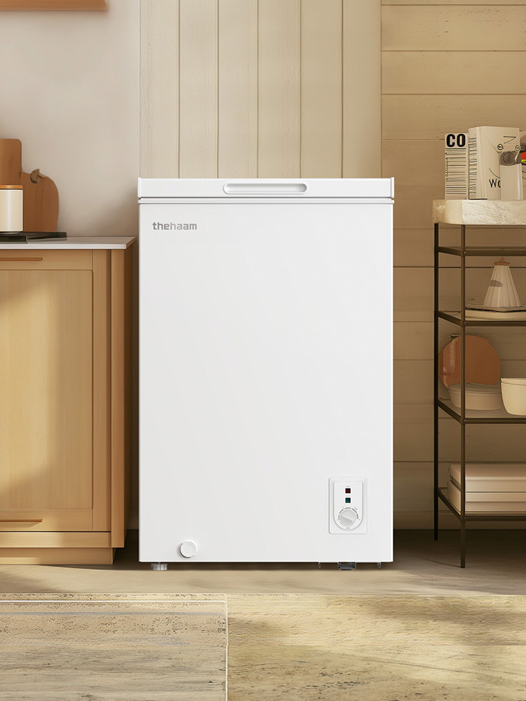 더함 소형 미니 냉동고 스탠드 뚜껑형 냉동고 화이트 99L