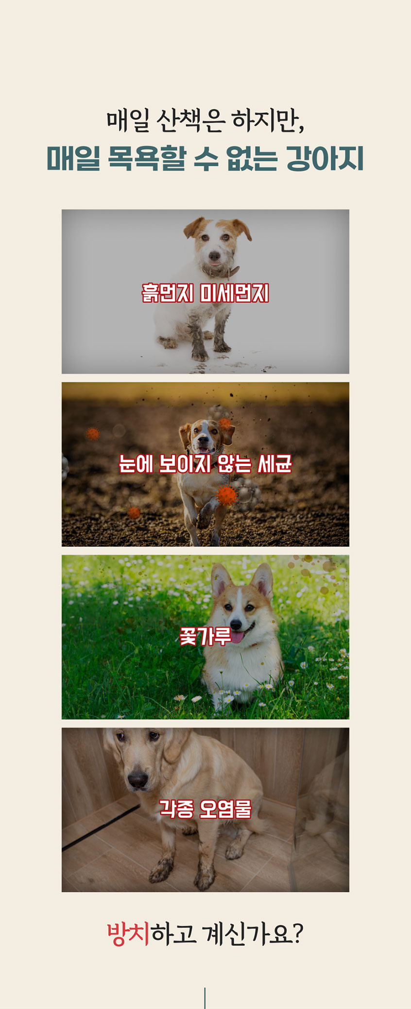 페피릴리프 강아지 물티슈 10팩 대나무원단 페이셜티슈 판매처 상세 정보 이미지 3