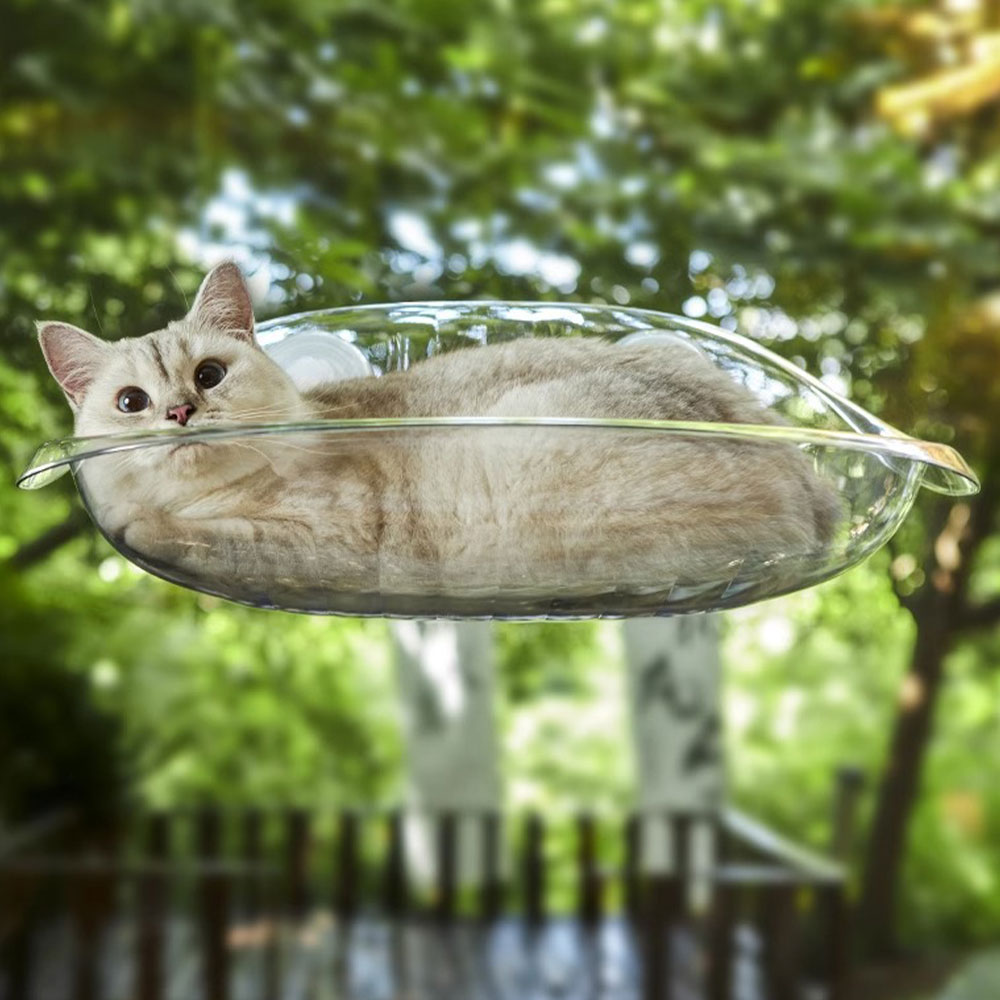 크레용펫 고양이 창문 해먹 투명 클리어 아크릴 - 상세 이미지 3