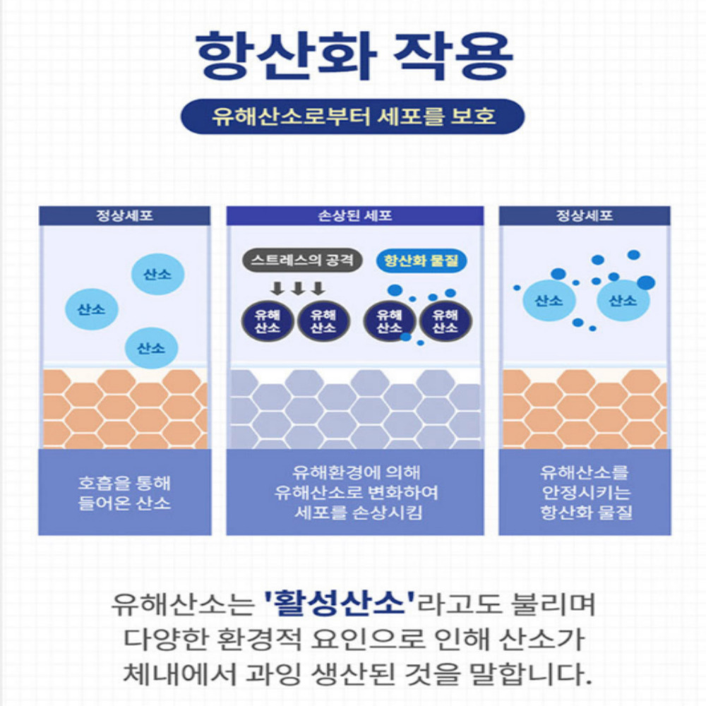 뉴질랜드 미니 프로폴리스 아연 효능 효과 면역력에좋은 3박스 - 상세 이미지 2