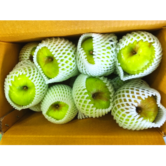 유기농 사과 무농약 2006년 햇 못난이 흠과 아오리 부사 시나노골드 12Brix, 3kg, 1개 이미지 8