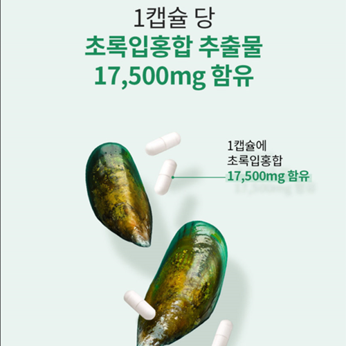 엔젯오리진 뉴질랜드 초록입홍합 17500 비타민D 30캡슐 2박스 2개월 관절 연골 뼈 - 상세 이미지 4