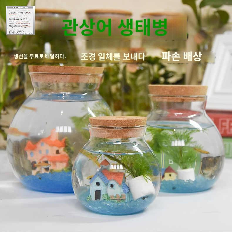 바다 장식 앤틱 빈티지 소품 카페 배모형 범선 유리병 - 상품 이미지