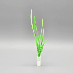 ABIBI'S GOMULSANG 고양이 장난감 수제 낚시대 리필 막대 고... 솔직 후기 | 실제 사용자 리뷰 총정리 - 상품 이미지 2