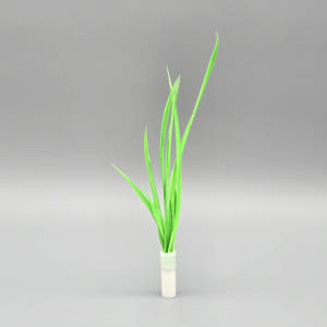 ABIBI'S GOMULSANG 고양이 장난감 수제 낚시대 리필 막대 고... 솔직 후기 | 실제 사용자 리뷰 총정리 - 상품 이미지 3