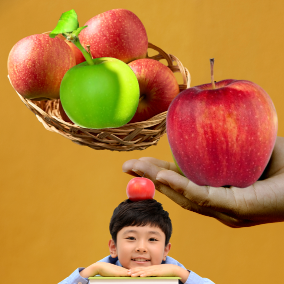 유기농 사과 무농약 2006년 햇사과 못난이 흠과 아오리 부사 시나노골드 1kg 3kg 5kg