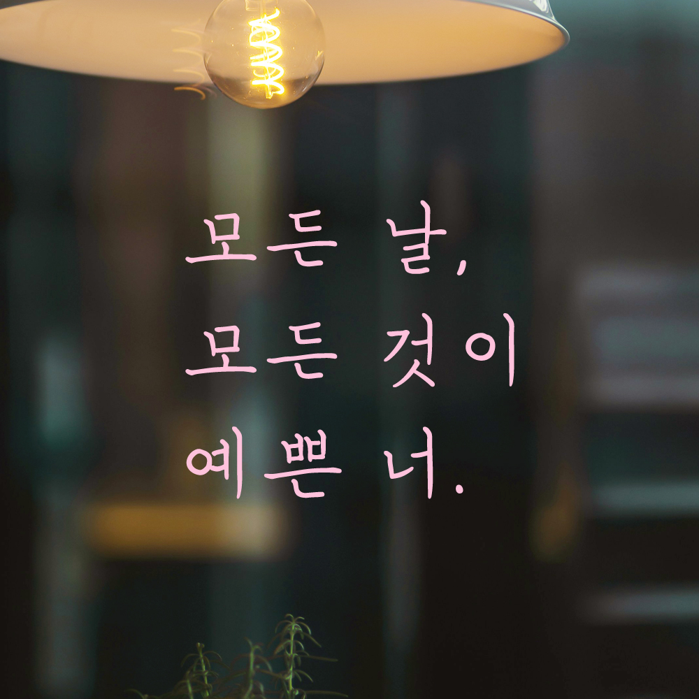 인테리어 포인트 손글씨 레터링 스티커 모든 날 모든 것이 예쁜 너 LH-075S 검정 - 상세 이미지 4