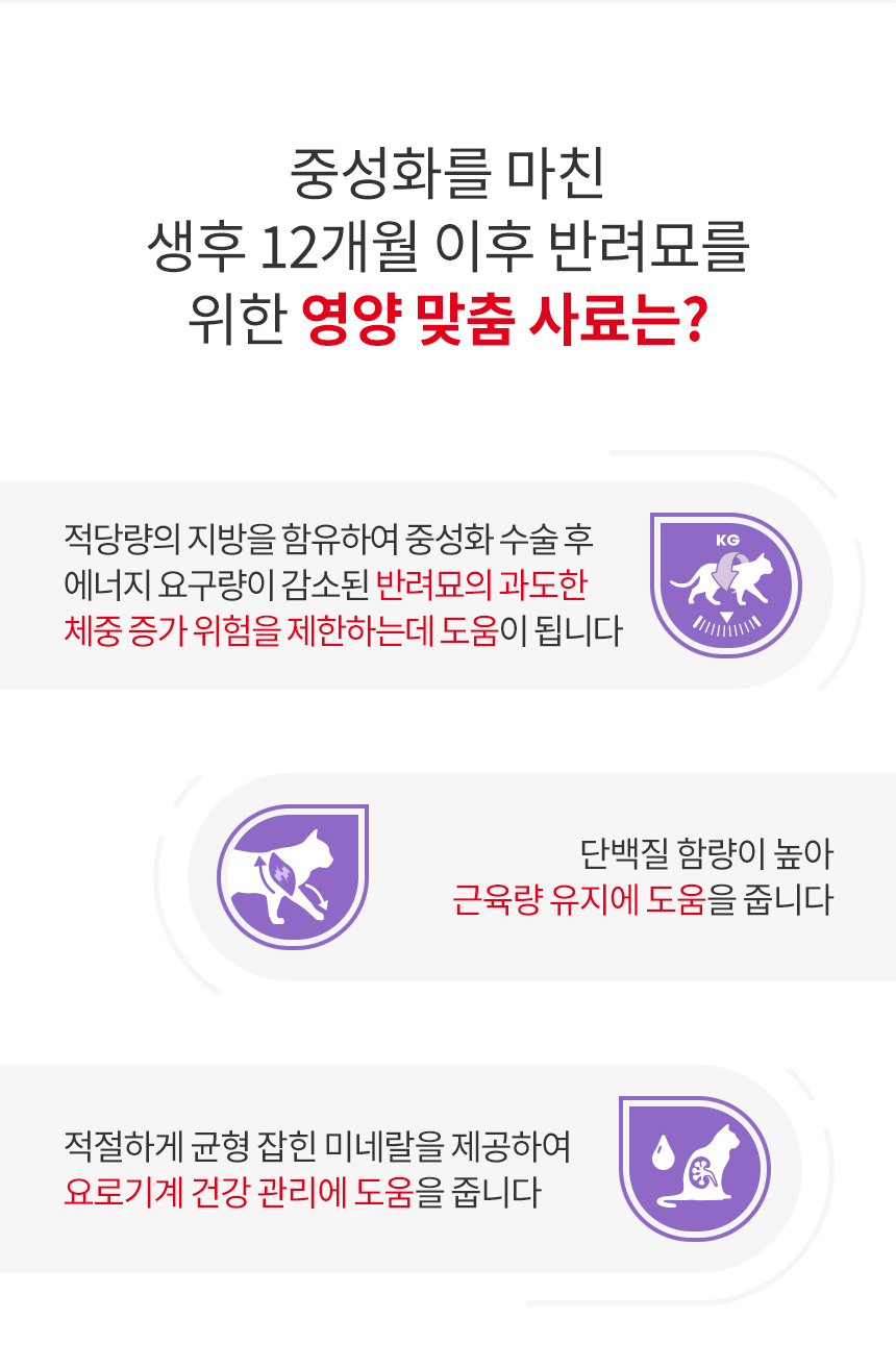 [유통기한 2027.01.18] 로얄캐닌 캣 스테럴라이즈, 4kg, 1개