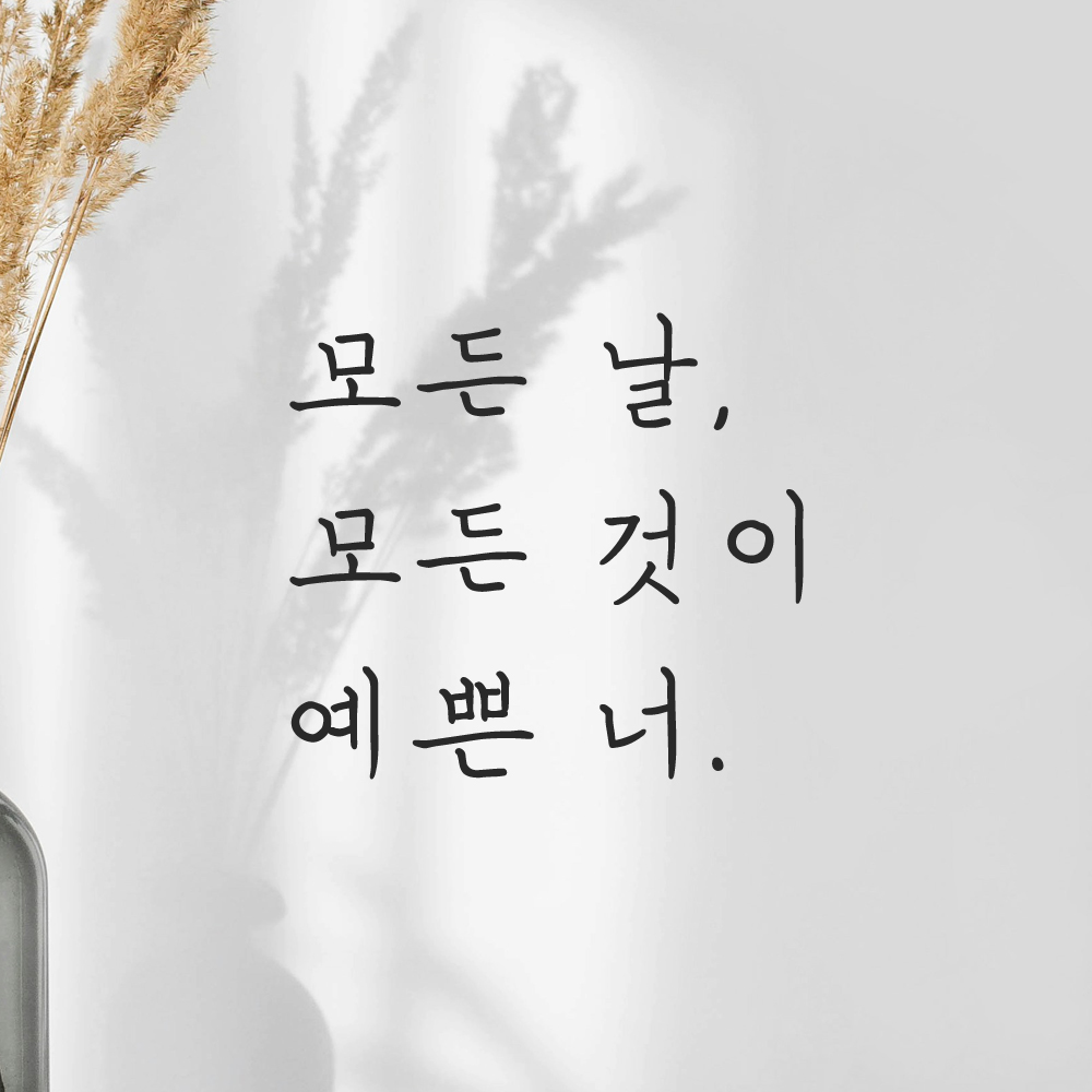 인테리어 포인트 손글씨 레터링 스티커 모든 날 모든 것이 예쁜 너 LH-075S 검정 이미지 7
