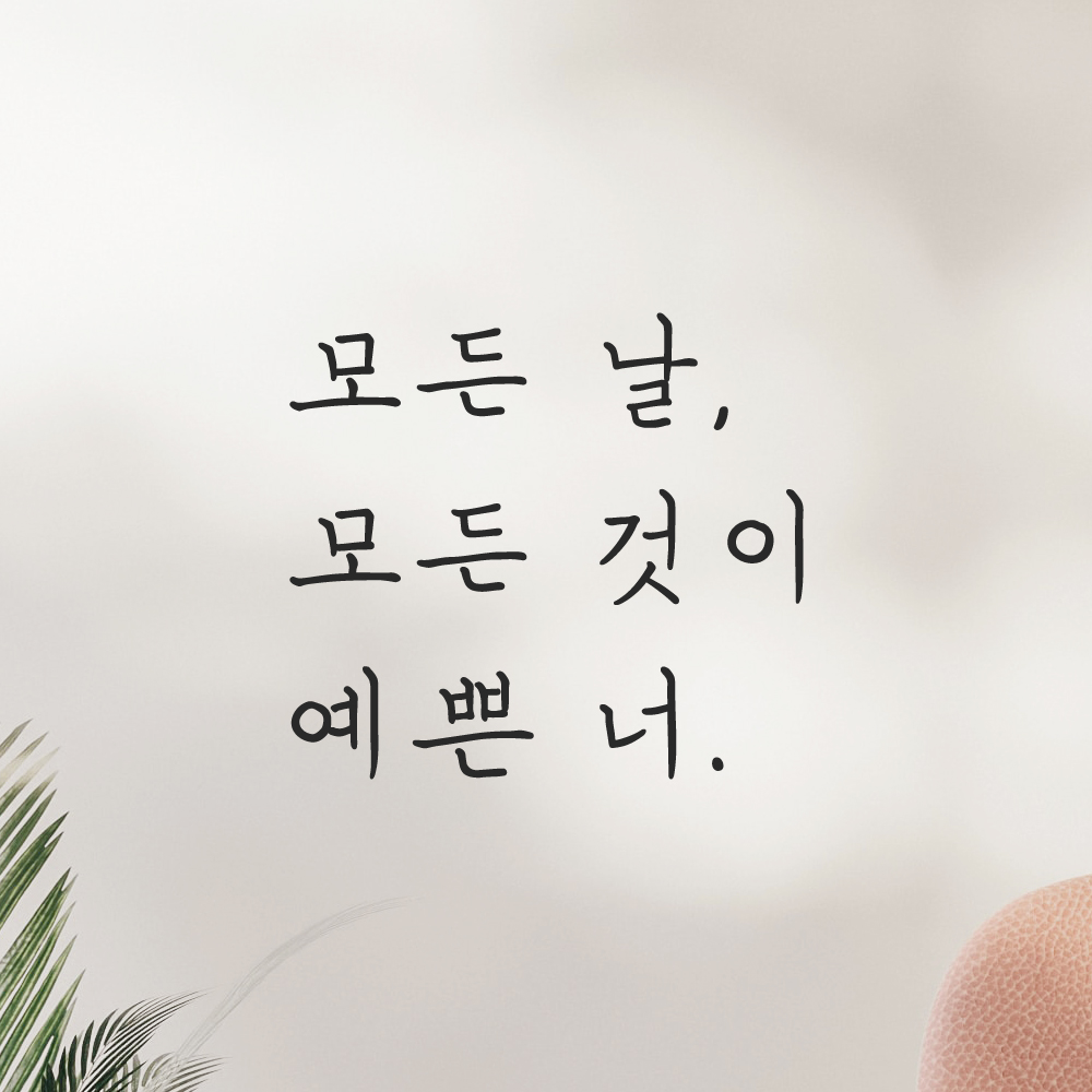 인테리어 포인트 손글씨 레터링 스티커 모든 날 모든 것이 예쁜 너 LH-075S 검정 - 상세 이미지 5