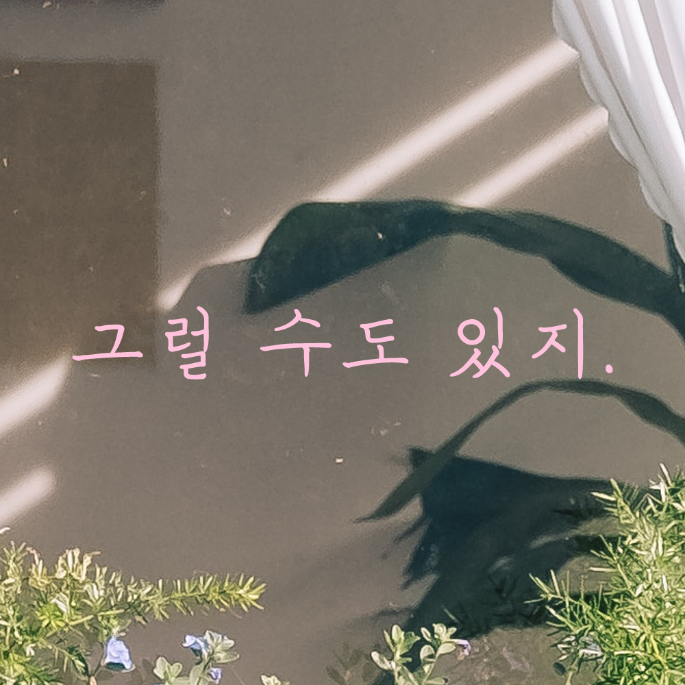 인테리어 포인트 감성 손글씨 레터링 스티커 그럴 수도 있지 LH-074S 검정 - 상세 이미지 4
