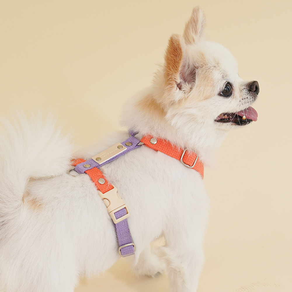 강아지 인식표 하네스 앞섬방지 H형 소형견 가슴줄 기본형 XS