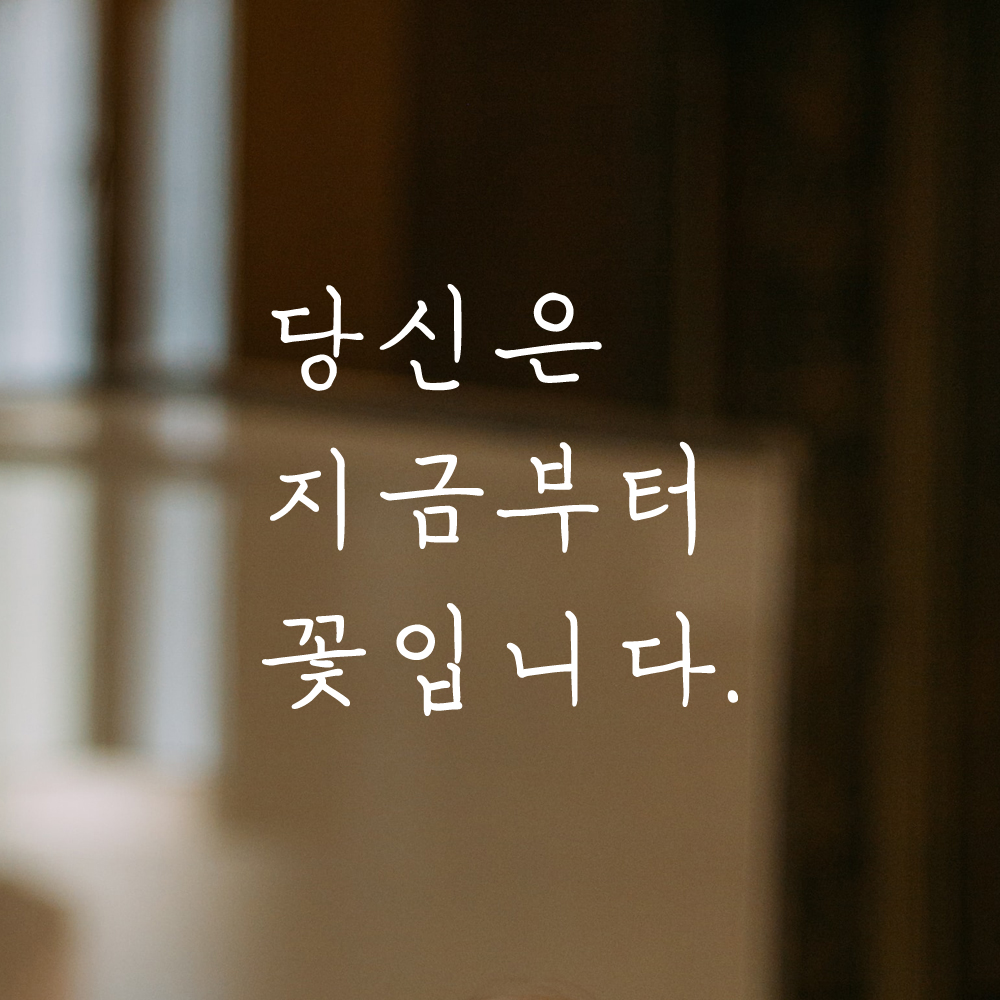 인테리어 포인트 감성 손글씨 레터링 스티커 당신은 지금부터 꽃입니다 LH-078S 검정 - 상세 이미지 2