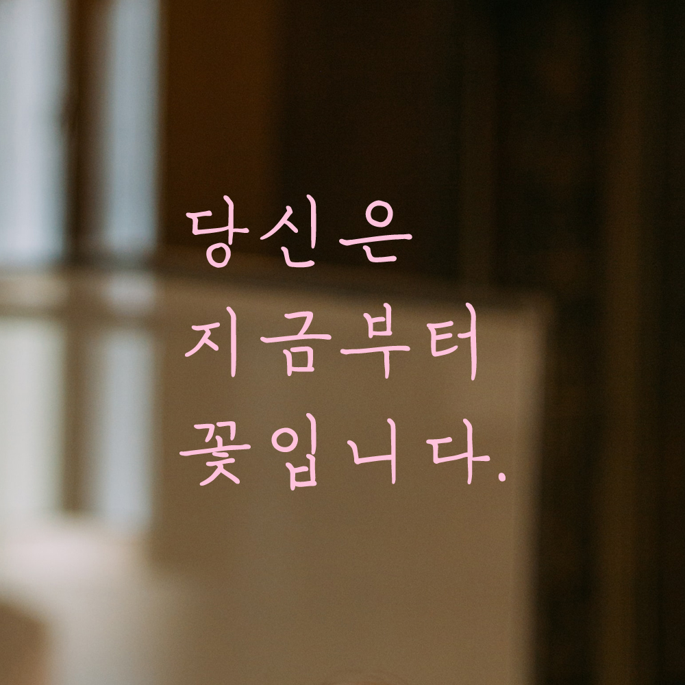 인테리어 포인트 감성 손글씨 레터링 스티커 당신은 지금부터 꽃입니다 LH-078S 검정 - 상세 이미지 4
