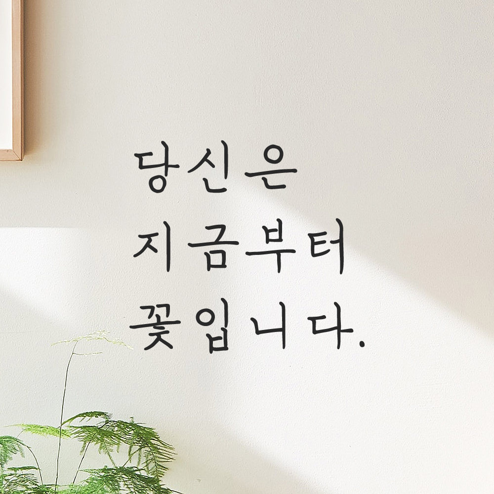 인테리어 포인트 감성 손글씨 레터링 스티커 당신은 지금부터 꽃입니다 LH-078S 검정 이미지 6