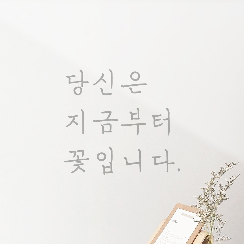 인테리어 포인트 감성 손글씨 레터링 스티커 당신은 지금부터 꽃입니다 LH-078S 검정 - 상세 이미지 3