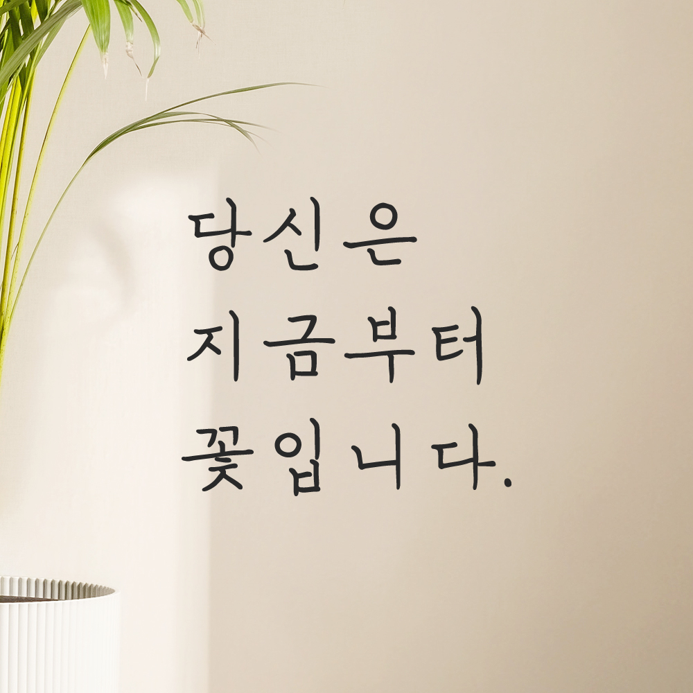 인테리어 포인트 감성 손글씨 레터링 스티커 당신은 지금부터 꽃입니다 LH-078S 검정 - 상세 이미지 5
