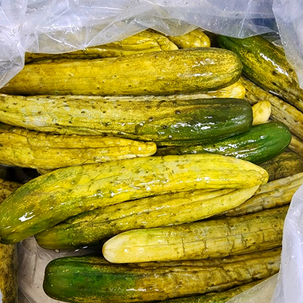 [제철별미] 매콤 오이지무침 1통 500g / 100% 국산재료 수작업 해와바다 이미지 7