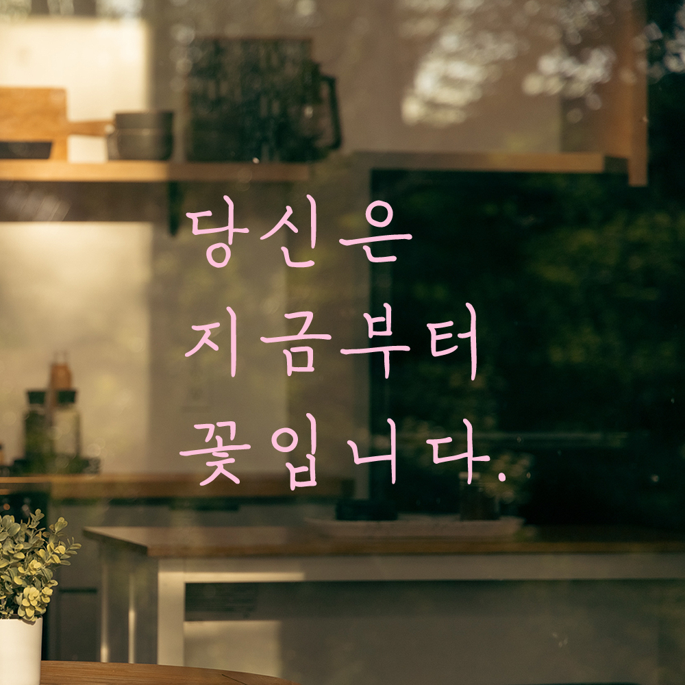 인테리어 포인트 감성 손글씨 레터링 스티커 당신은 지금부터 꽃입니다 LH-078S 검정 - 상세 이미지 4