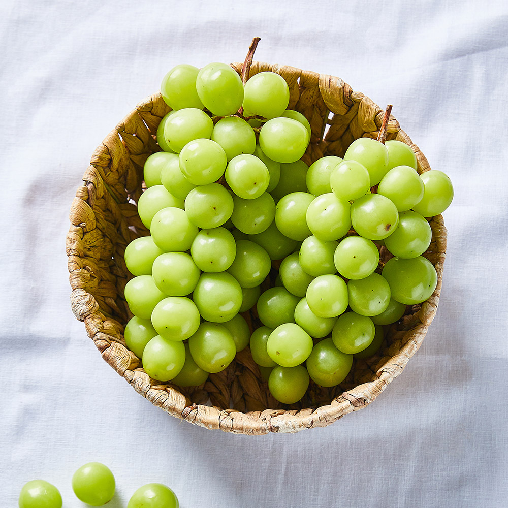 25년 고당도 프리미엄 샤인머스캣 1kg 2수 - 상품 이미지