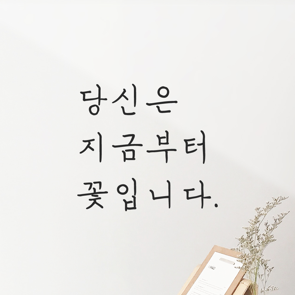 인테리어 포인트 감성 손글씨 레터링 스티커 당신은 지금부터 꽃입니다 LH-078S 검정 - 상품 이미지