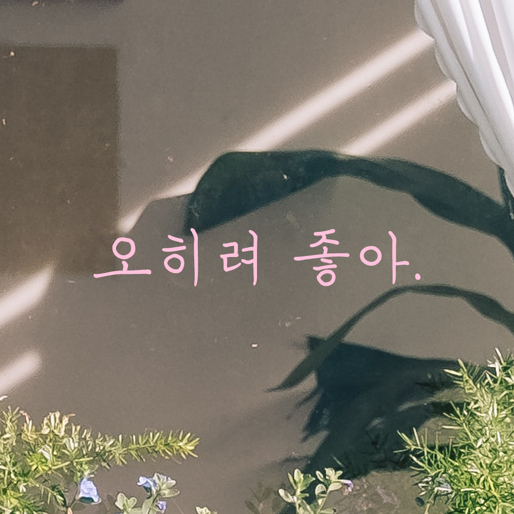 인테리어 포인트 감성 손글씨 레터링 스티커 오히려 좋아 LH-076S 검정 - 상세 이미지 4