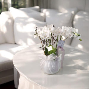 개업화분 서양란 취임 축하난 서양난 사무실 개원 영전 승진난 상견례 배달... 솔직 후기 | 실사용자 리뷰 분석 - 상품 이미지 2