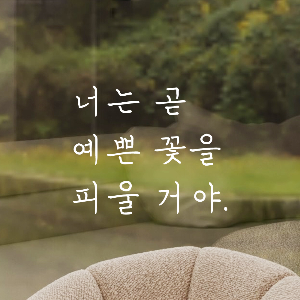 인테리어 감성 손글씨 레터링 스티커 너는 곧 예쁜 꽃을 피울 거야 LH-079S 검정 - 상세 이미지 2