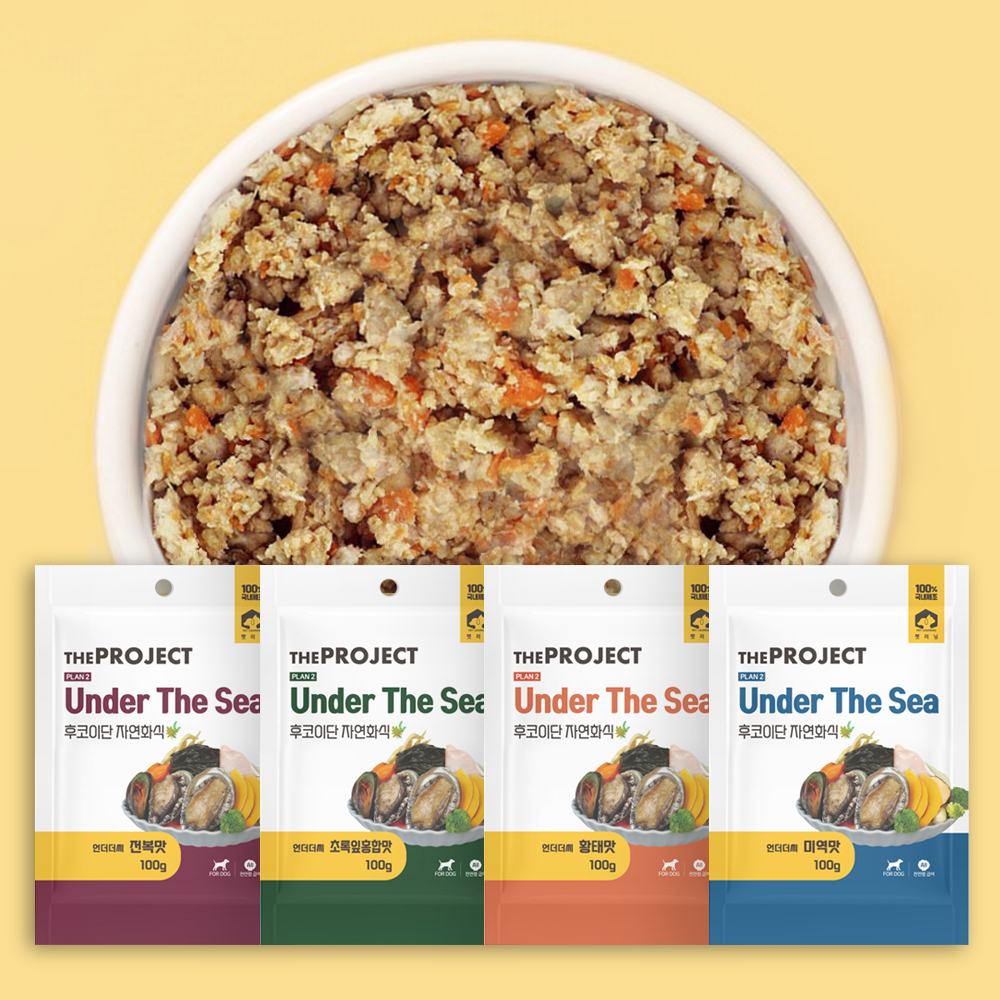 펫러닝 강아지 화식 반려견 자연식 수제사료 실온보관 4개입