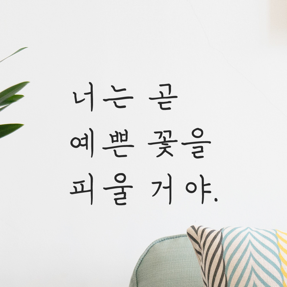 인테리어 감성 손글씨 레터링 스티커 너는 곧 예쁜 꽃을 피울 거야 LH-079S 검정 - 상세 이미지 5