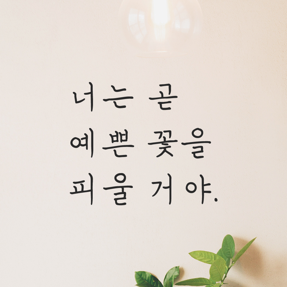 인테리어 감성 손글씨 레터링 스티커 너는 곧 예쁜 꽃을 피울 거야 LH-079S 검정 - 상품 이미지